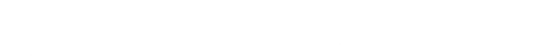 Nettoyage Pro Prestige Inc